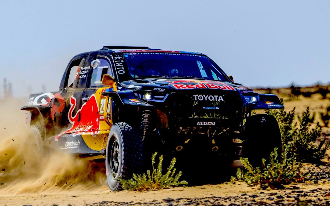 DAKAR STAGE 9: STATIC IN THE DESERT