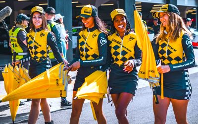 DUNLOP PAINTING ZWARTKOPS TOWN YELLOW!
