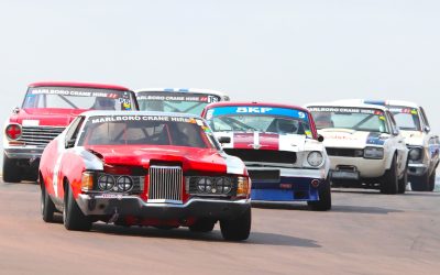 CLASSIC ZWARTKOPS DELIGHTS AGAIN