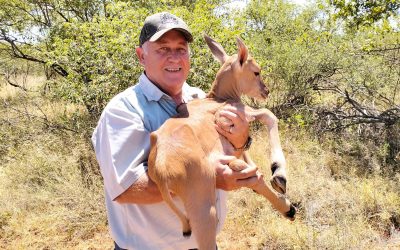 SA RALLY-RAID WELCOMES NEW ROUTE DIRECTOR